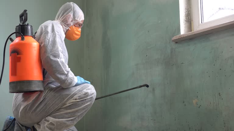 Best Asbestos and Lead Testing During Mold Inspection  in Greenfield, WI